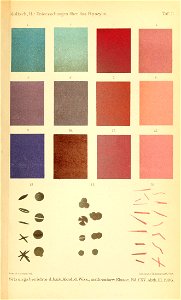n954_w1150