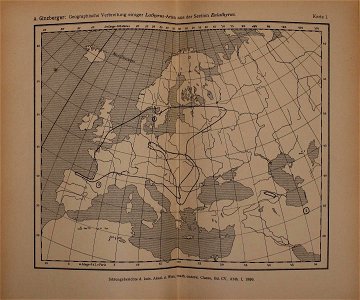 n376_w1150