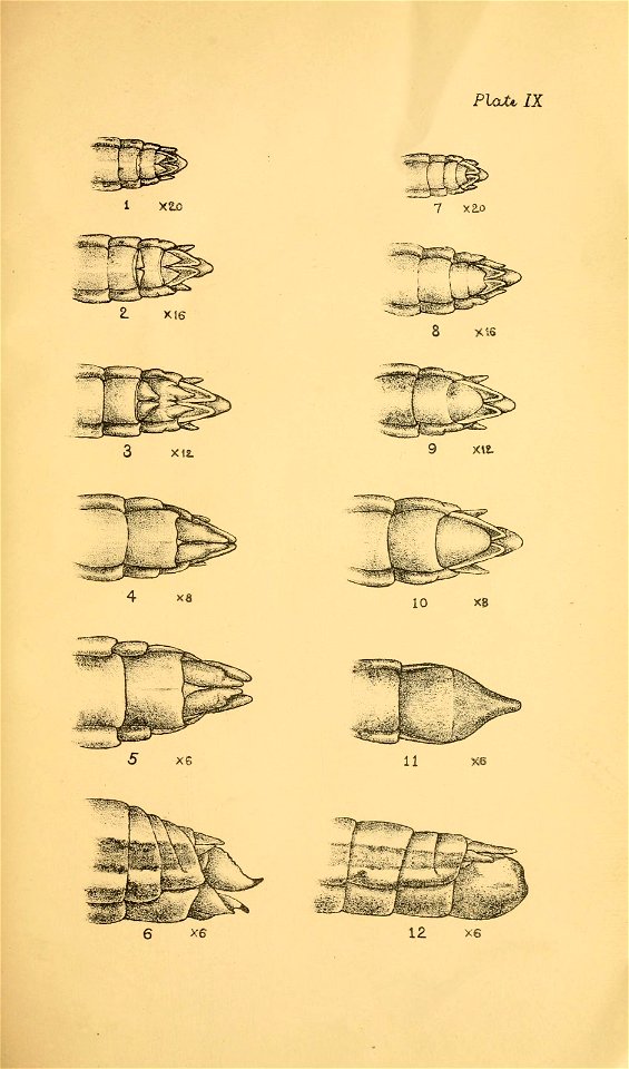 n74_w1150