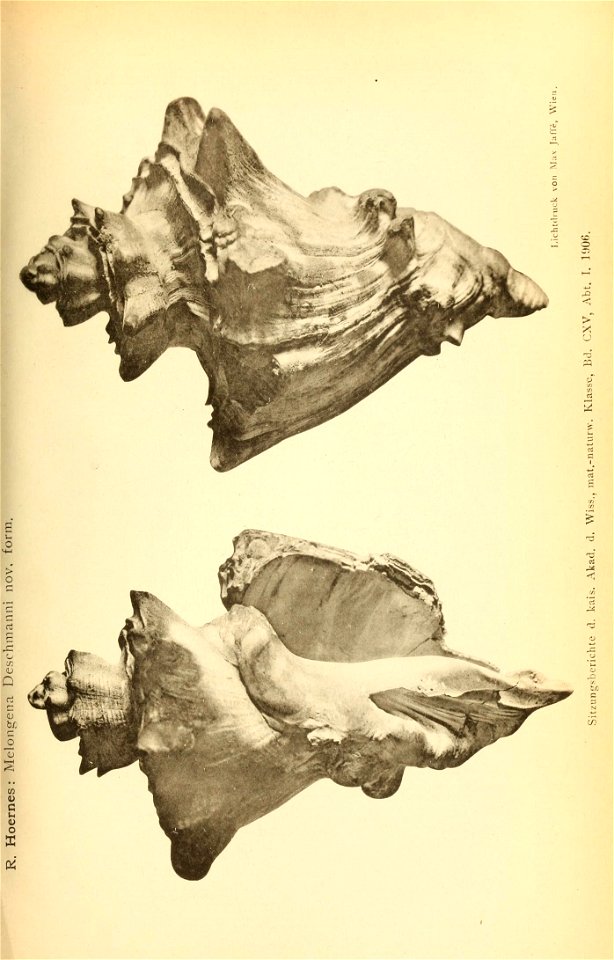 n1748_w1150