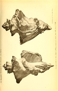 n1748_w1150