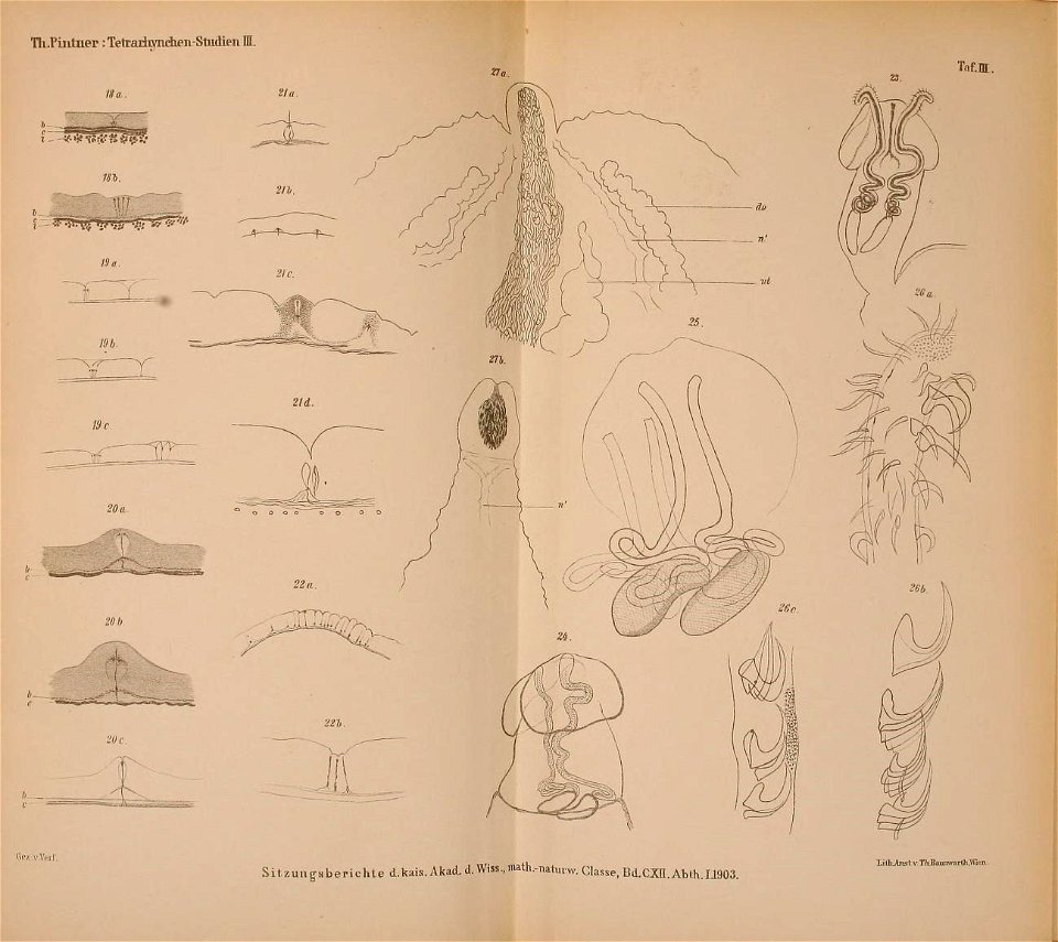 n699_w1150