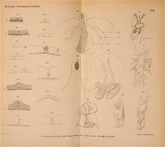n699_w1150