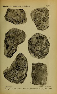 n1094_w1150