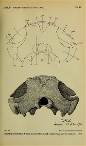 n104_w1150