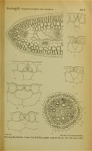 n1108_w1150