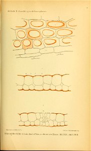 n1088_w1150