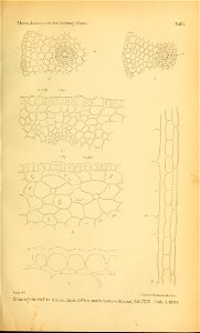 n586_w1150