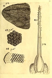 n570_w1150