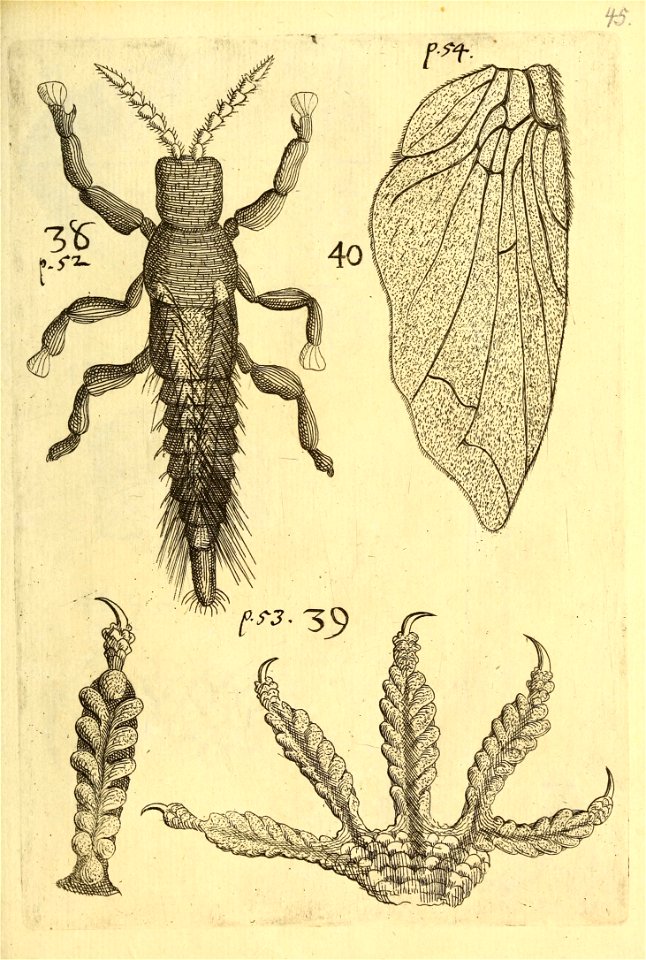 n568_w1150