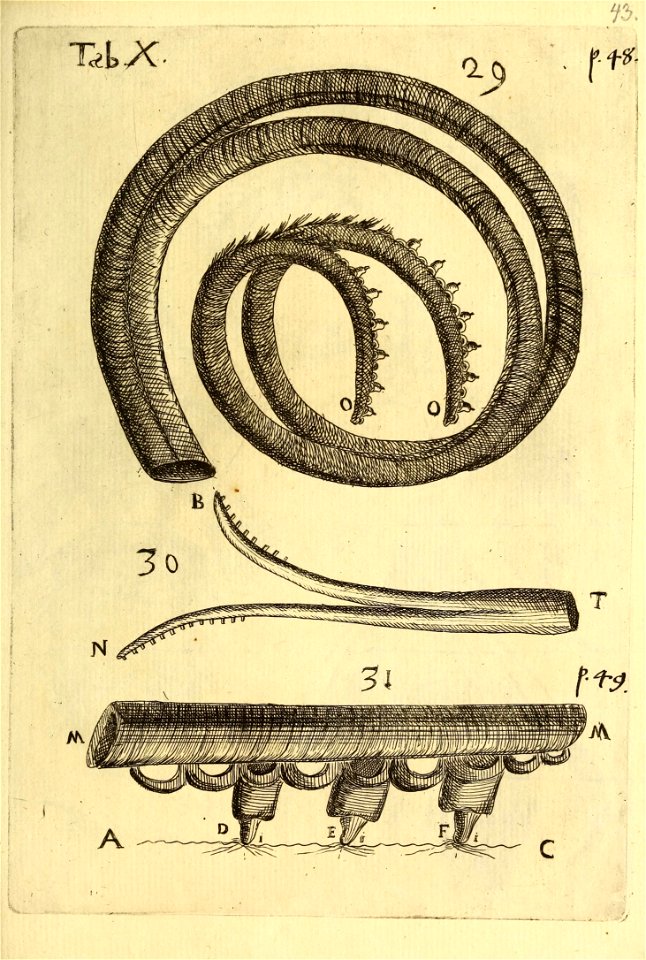n564_w1150