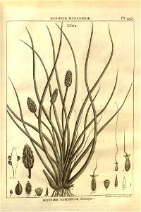 n245_w1150