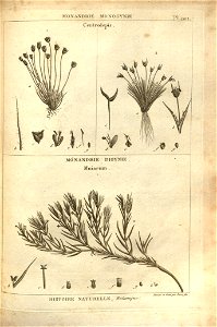n153_w1150