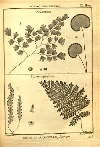 n122_w1150