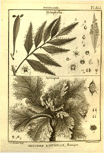n107_w1150