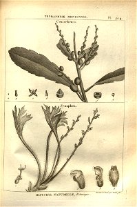 n166_w1150