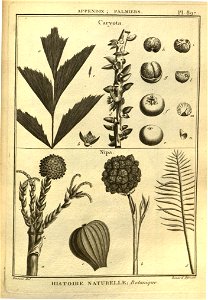 n149_w1150