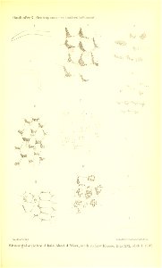 n912_w1150