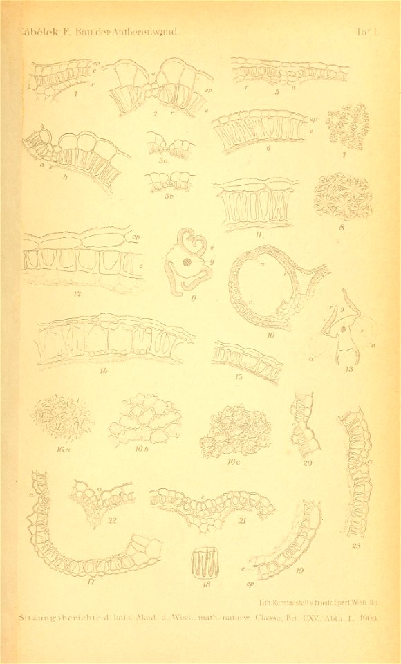 n1676_w1150
