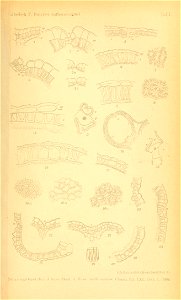n1676_w1150