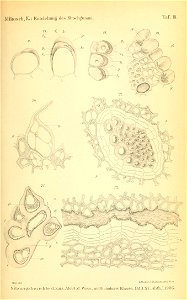 n1112_w1150