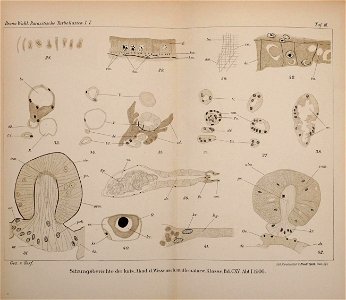 n582_w1150