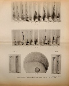 n172_w1150