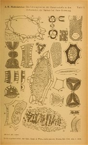 n592_w1150