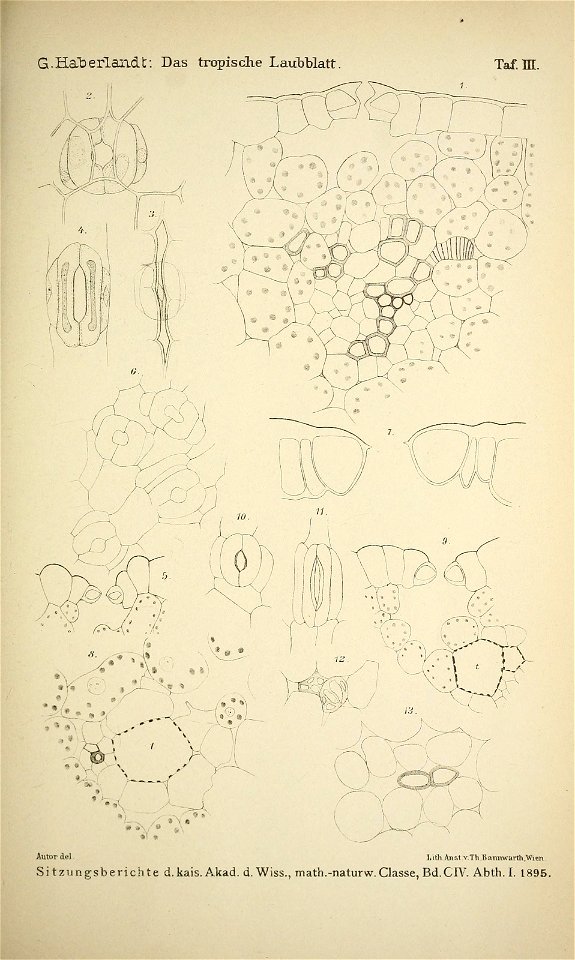 n138_w1150