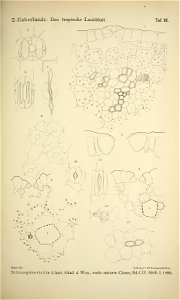 n138_w1150