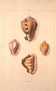 n143_w1150