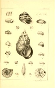 n220_w1150