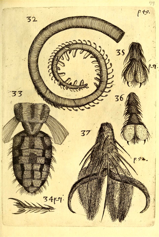 n566_w1150