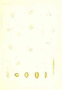 n978_w1150