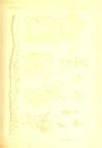 n226_w1150