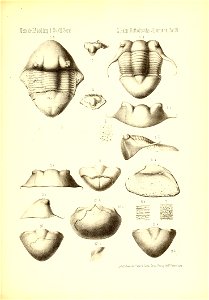 n1078_w1150