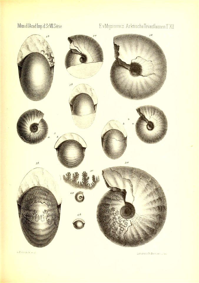 n822_w1150
