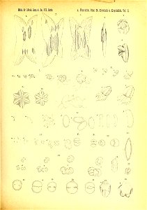 n522_w1150