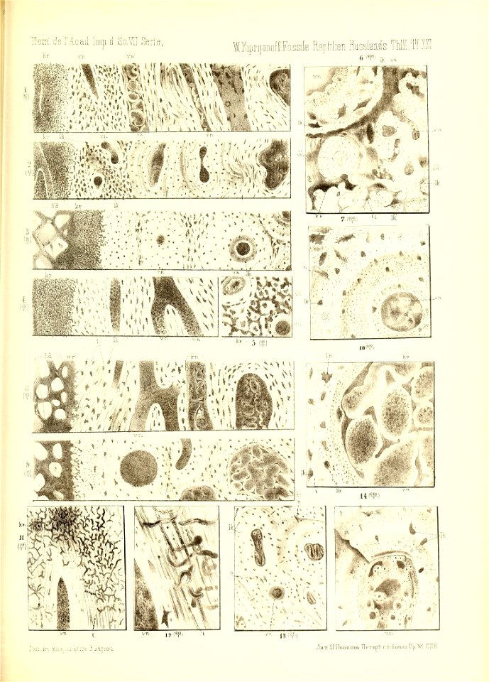 n412_w1150
