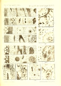 n412_w1150