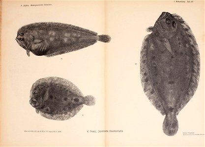 n178_w1150