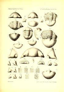 n1074_w1150