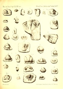 n168_w1150