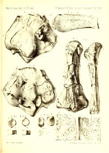 n410_w1150