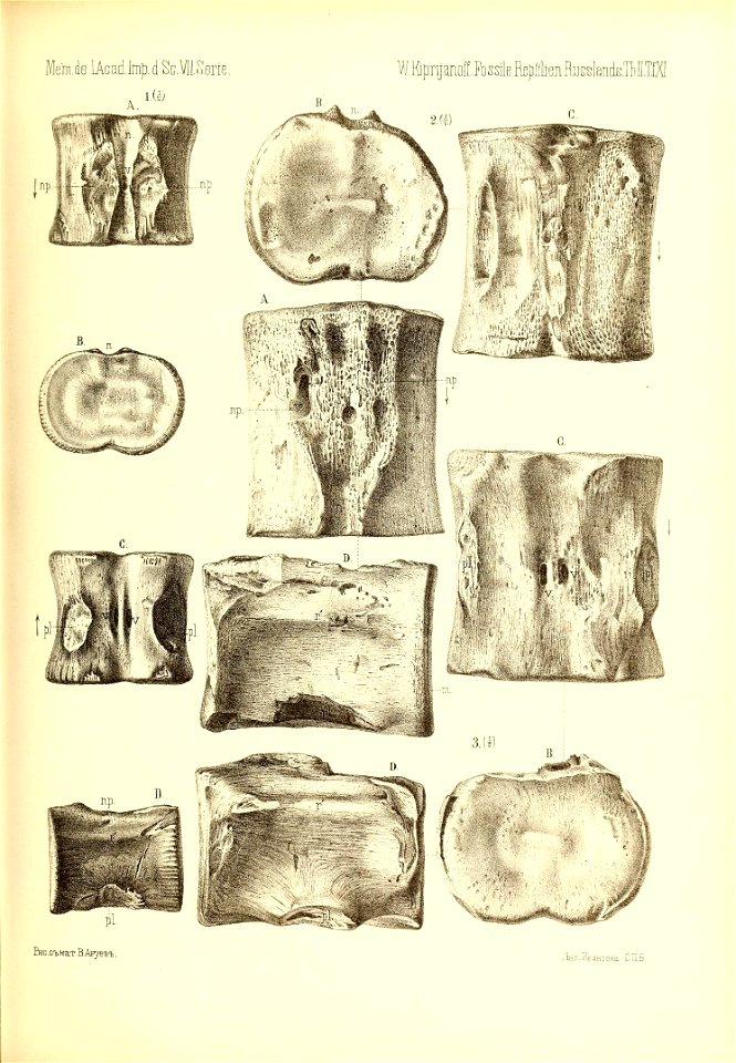 n576_w1150