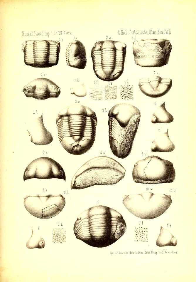 n1070_w1150