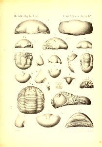 n1066_w1150