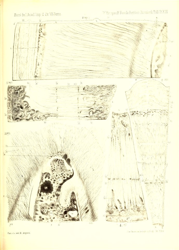 n406_w1150