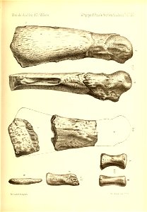 n572_w1150
