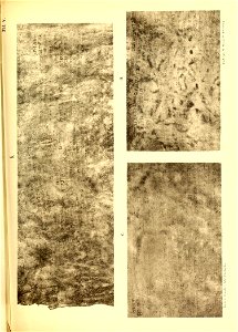 n454_w1150